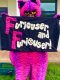 Bullivant Media